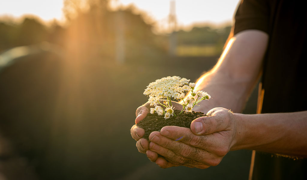 Mit der Natur im Einklang